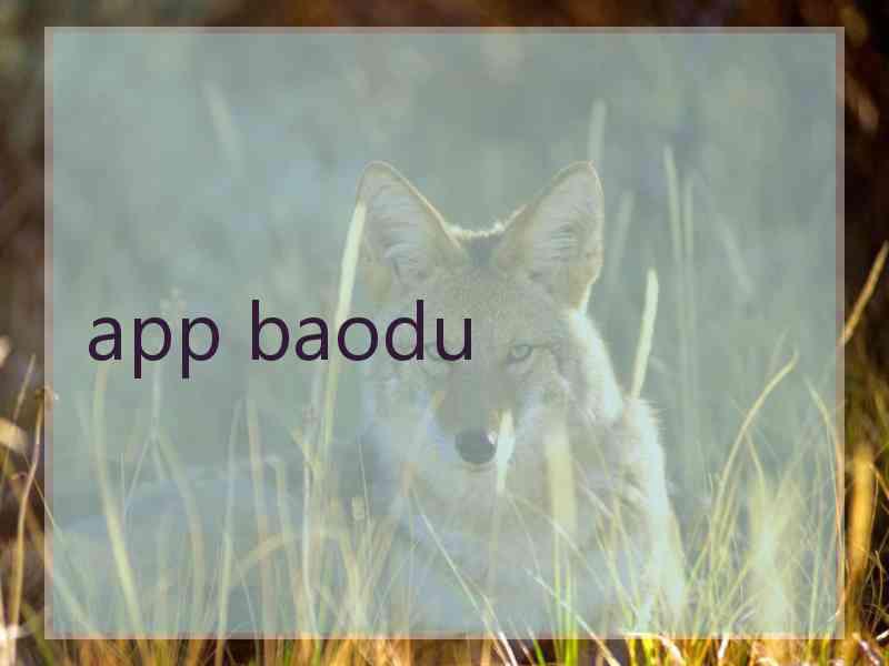 app baodu