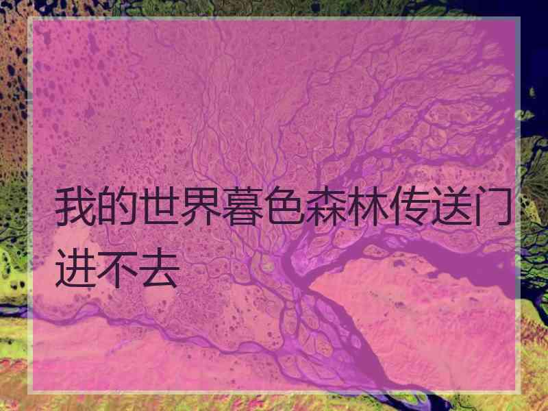我的世界暮色森林传送门进不去