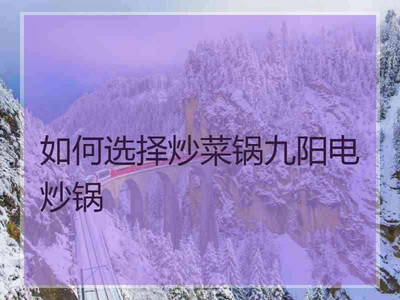 如何选择炒菜锅九阳电炒锅