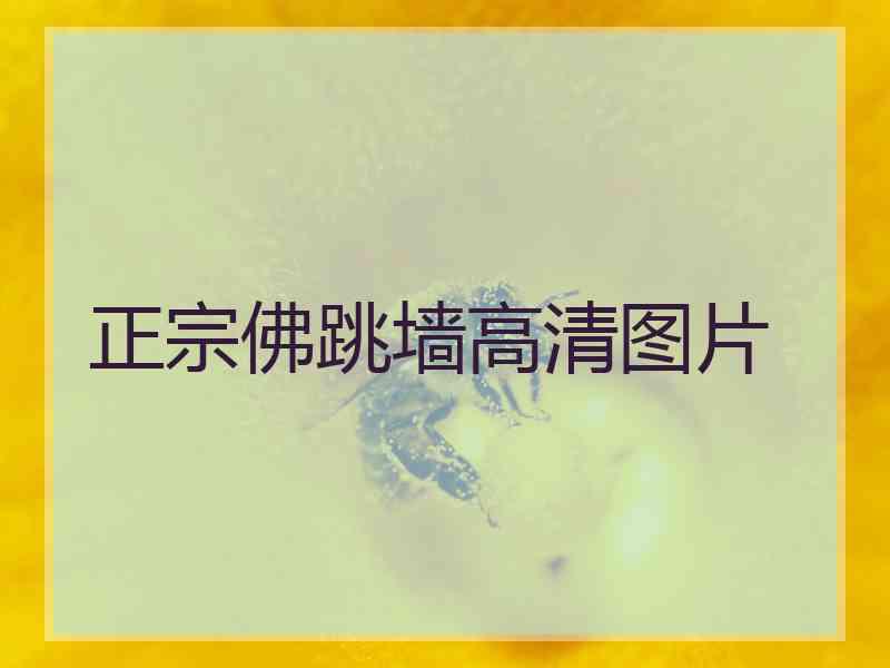 正宗佛跳墙高清图片