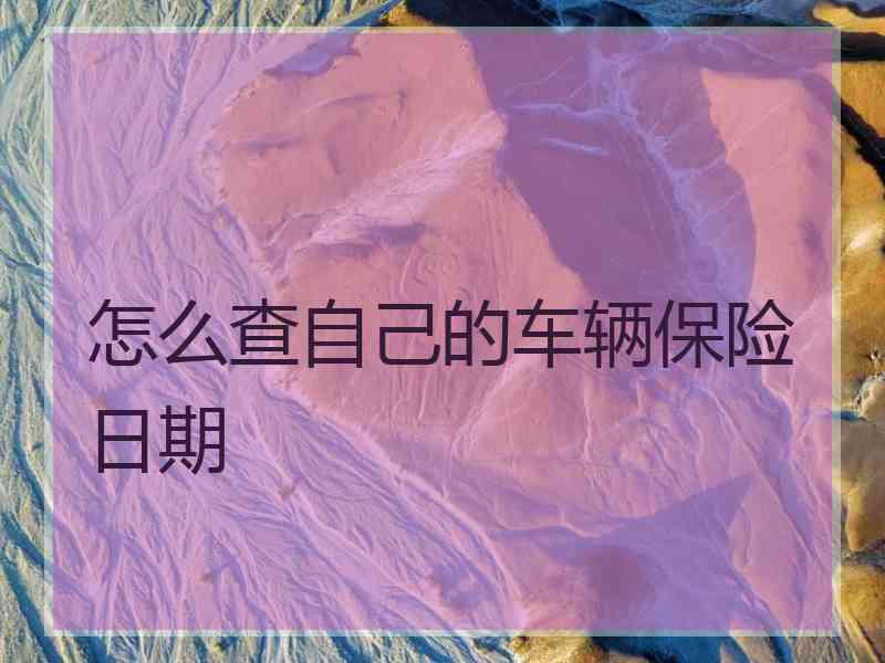 怎么查自己的车辆保险日期