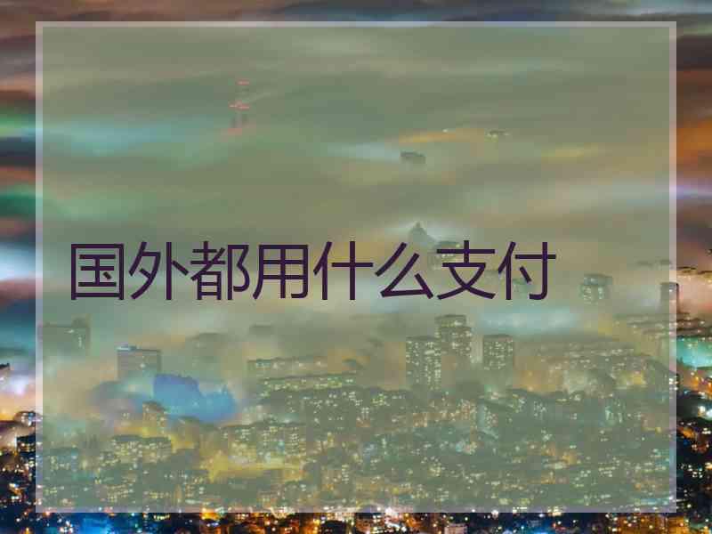 国外都用什么支付