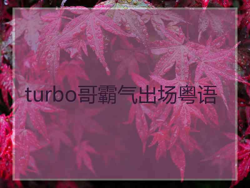 turbo哥霸气出场粤语