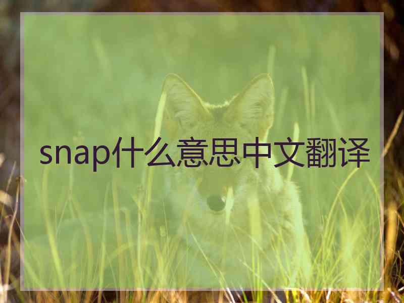 snap什么意思中文翻译