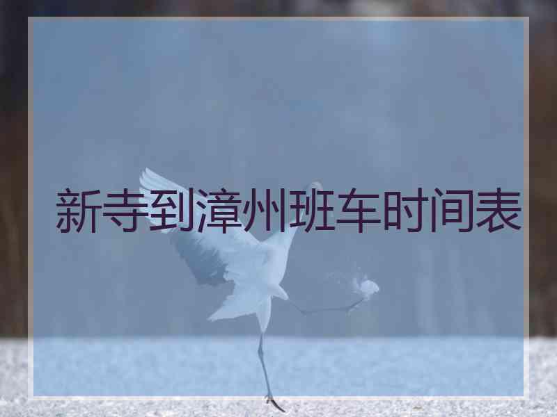 新寺到漳州班车时间表
