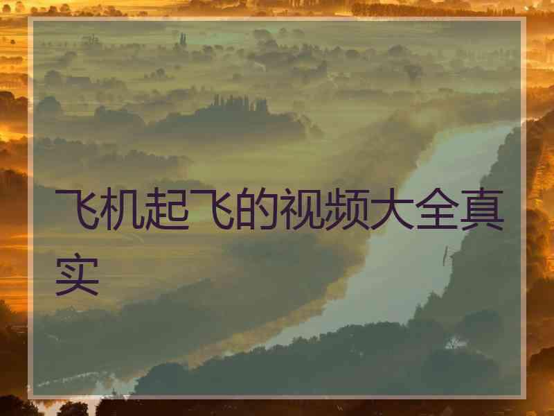 飞机起飞的视频大全真实