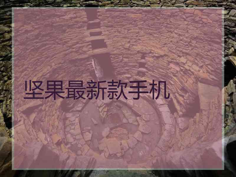坚果最新款手机