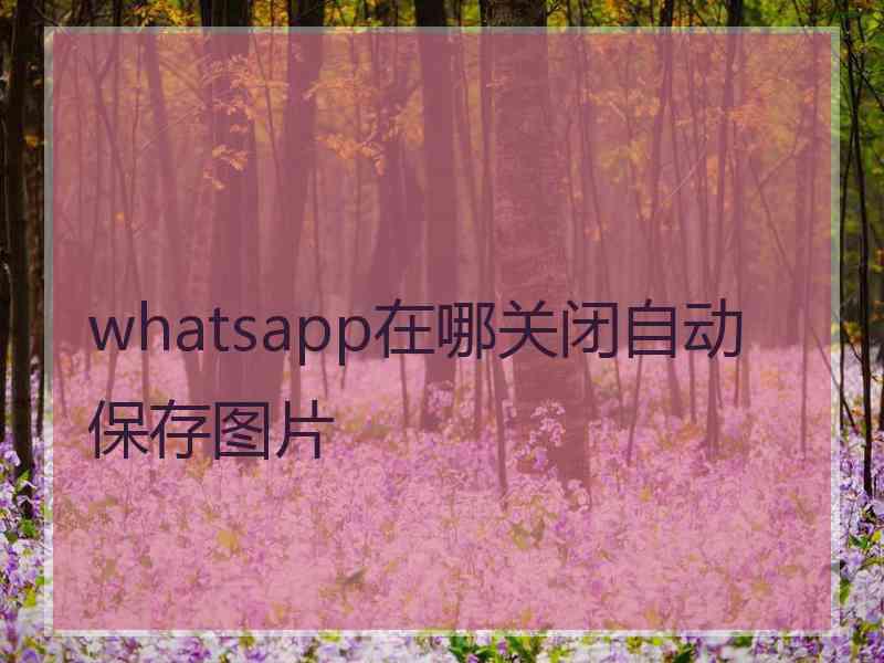 whatsapp在哪关闭自动保存图片