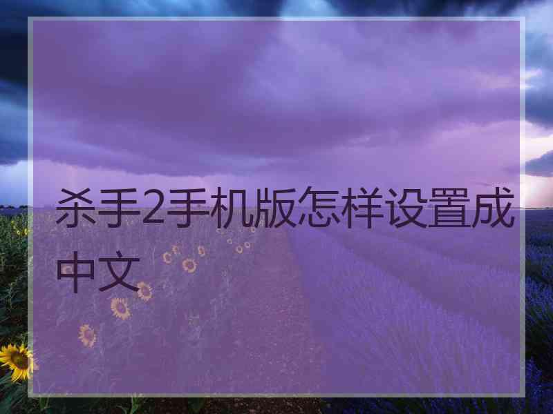 杀手2手机版怎样设置成中文