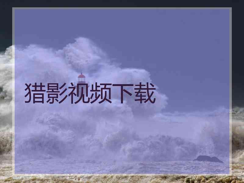 猎影视频下载