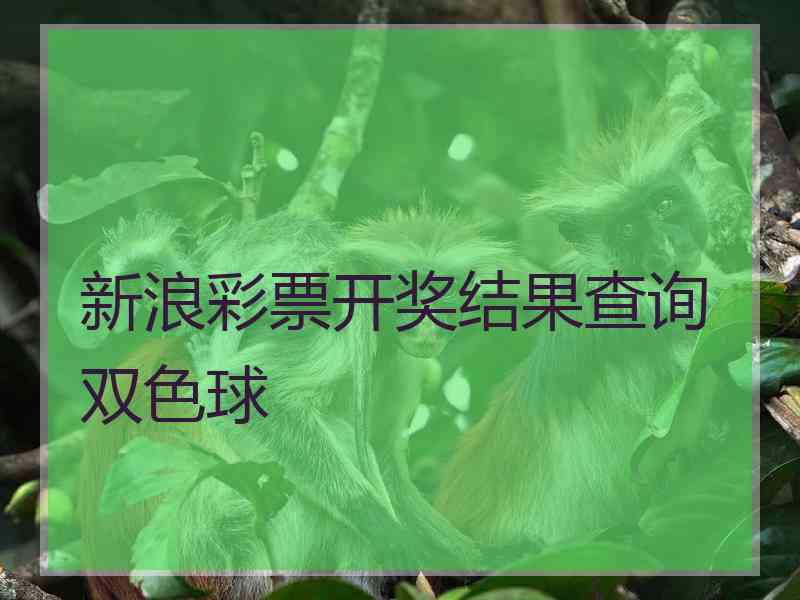 新浪彩票开奖结果查询双色球