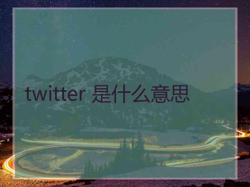 twitter 是什么意思