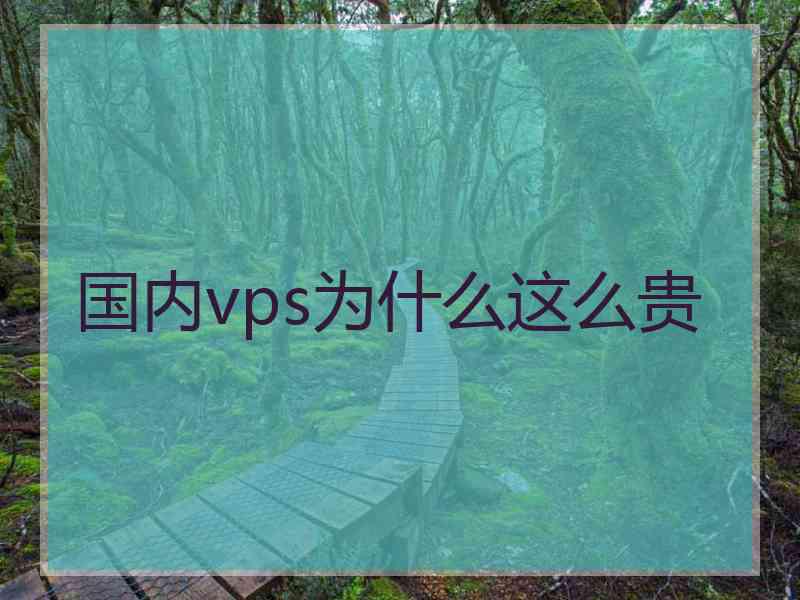 国内vps为什么这么贵