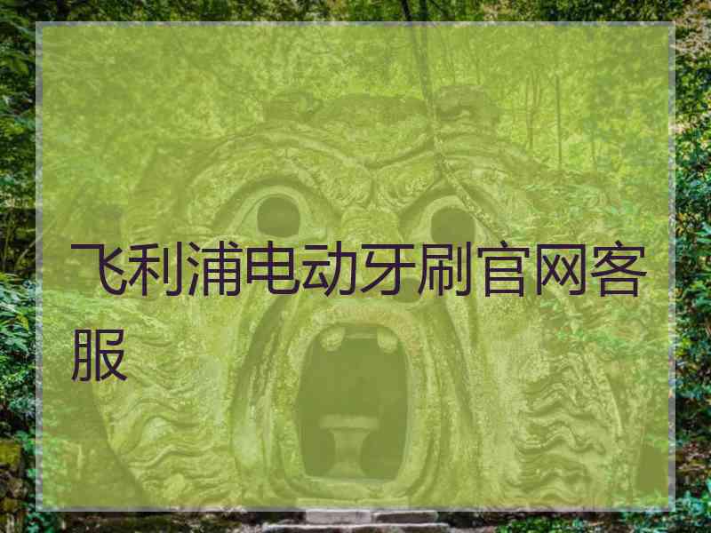 飞利浦电动牙刷官网客服
