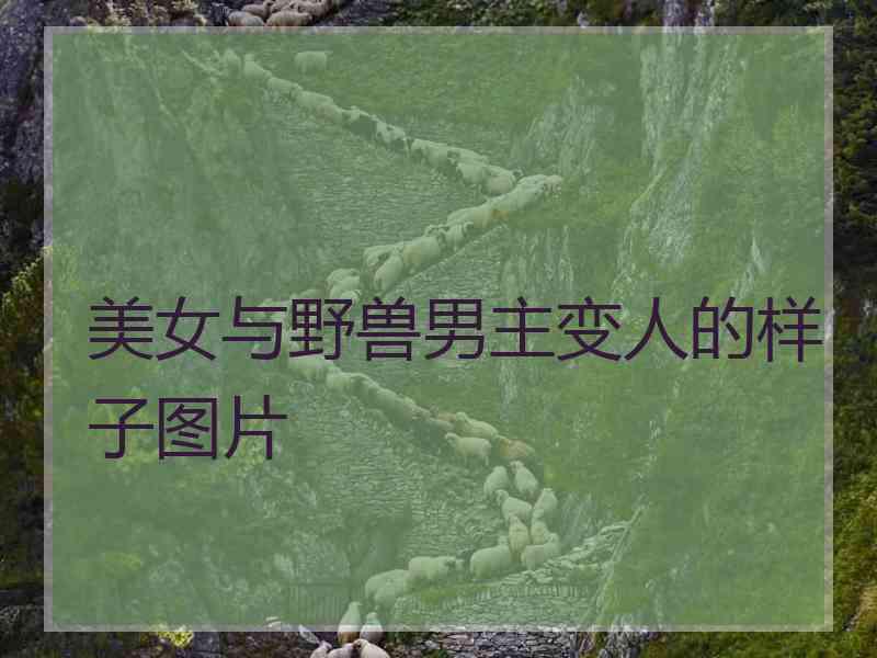 美女与野兽男主变人的样子图片