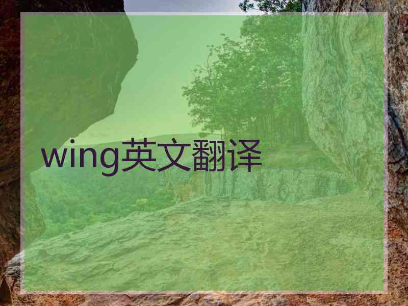 wing英文翻译