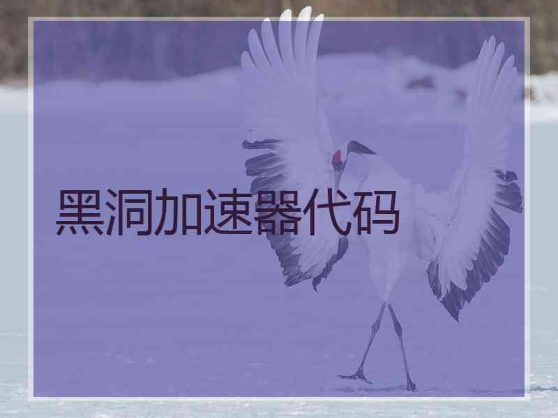 黑洞加速器代码