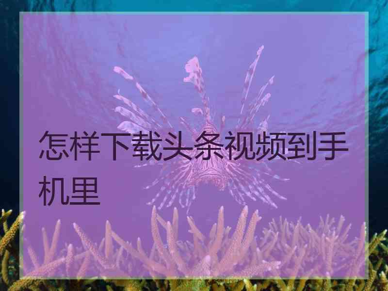 怎样下载头条视频到手机里