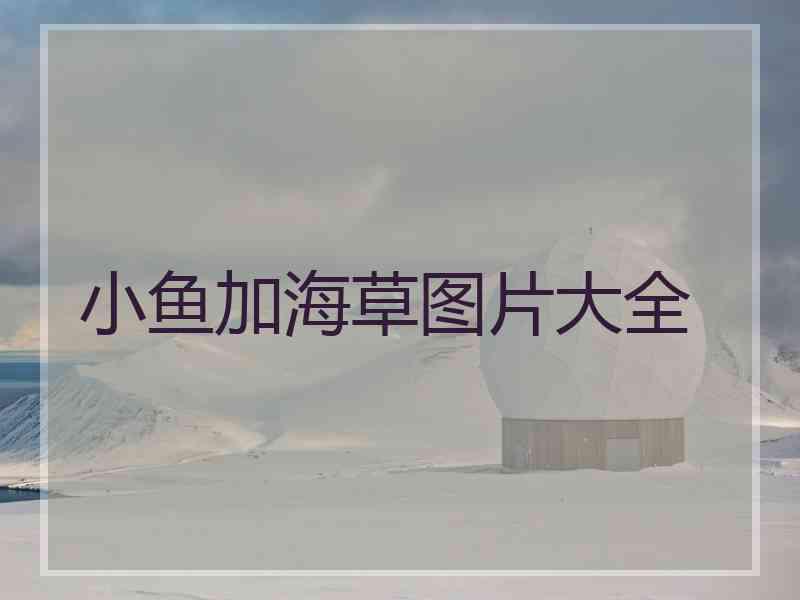 小鱼加海草图片大全