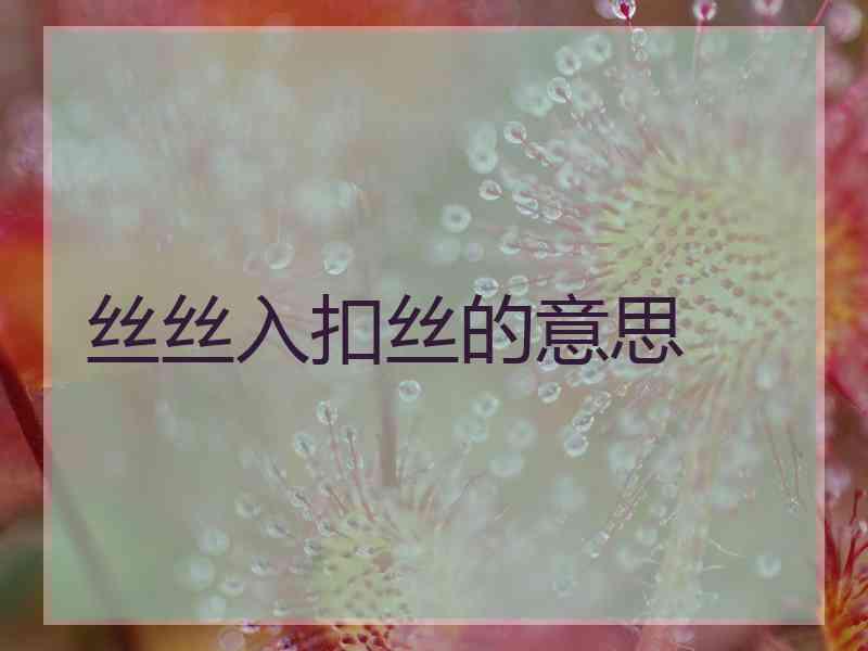 丝丝入扣丝的意思