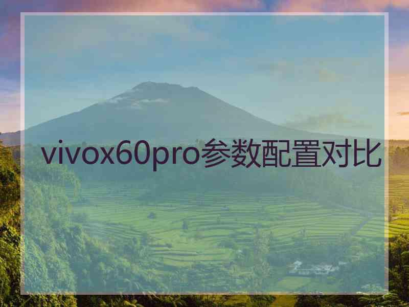 vivox60pro参数配置对比
