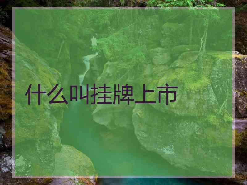 什么叫挂牌上市