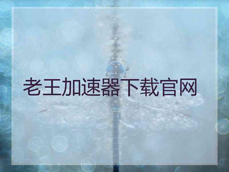 老王加速器下载官网