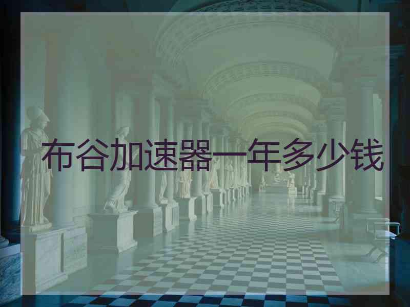 布谷加速器一年多少钱