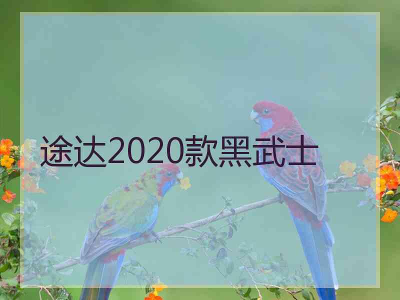 途达2020款黑武士