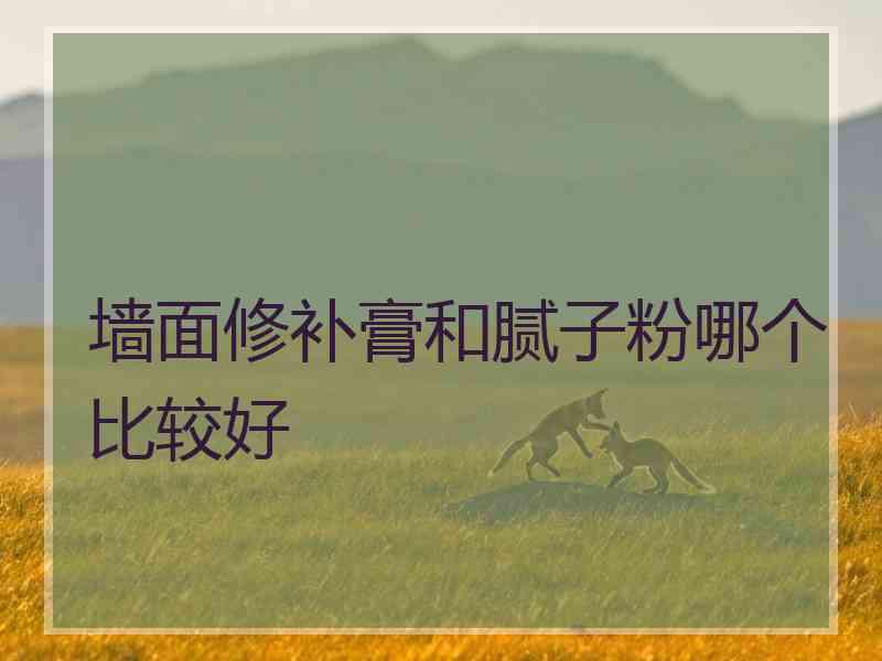 墙面修补膏和腻子粉哪个比较好