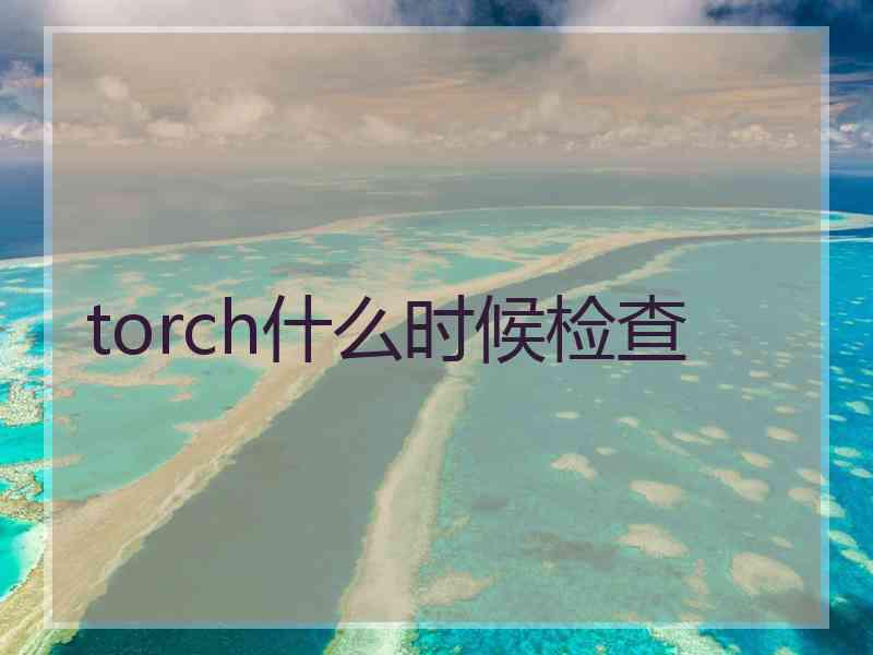 torch什么时候检查