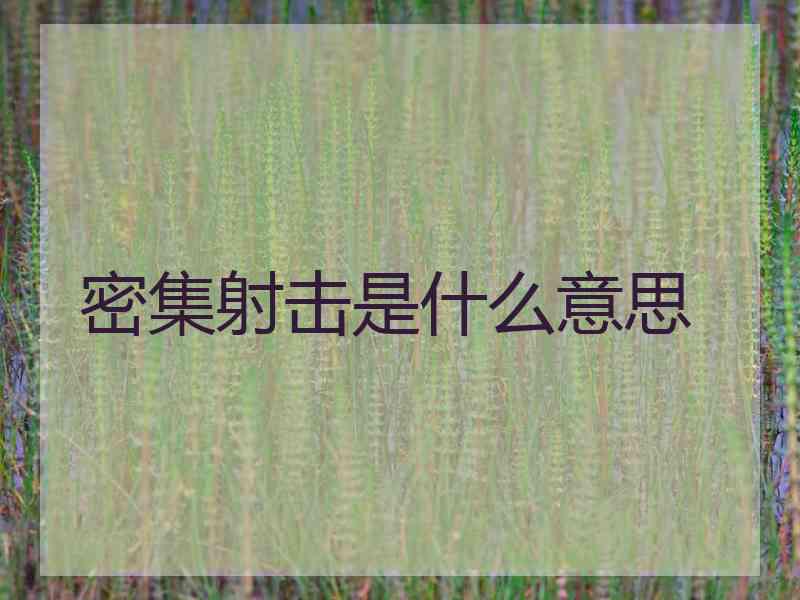 密集射击是什么意思