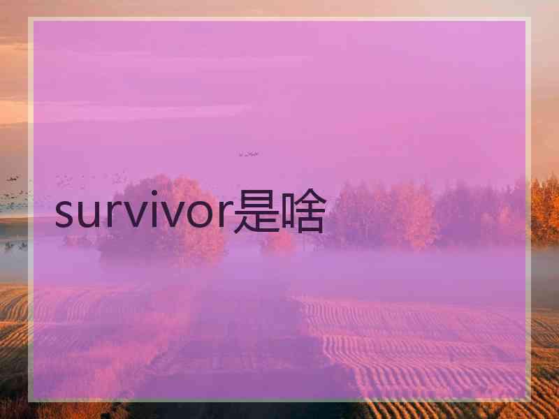survivor是啥
