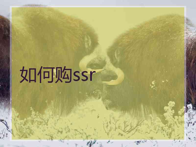 如何购ssr