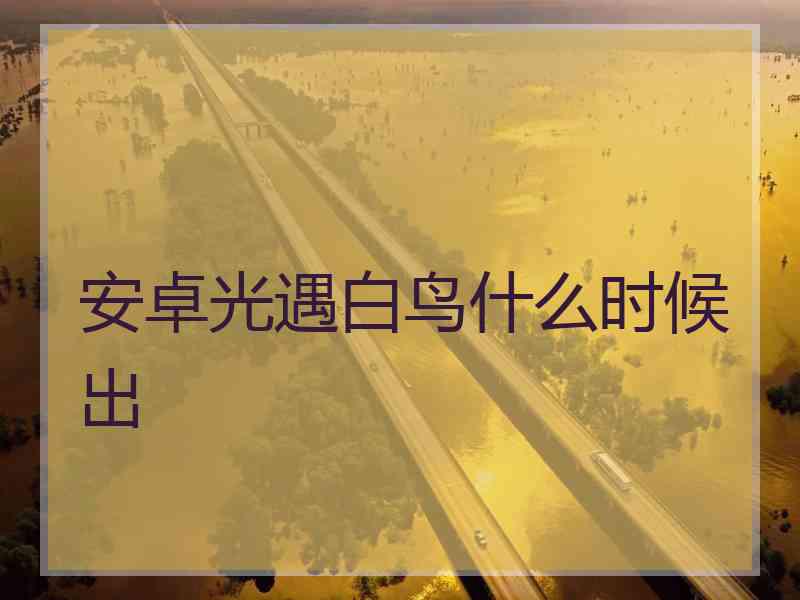 安卓光遇白鸟什么时候出
