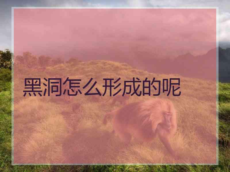 黑洞怎么形成的呢