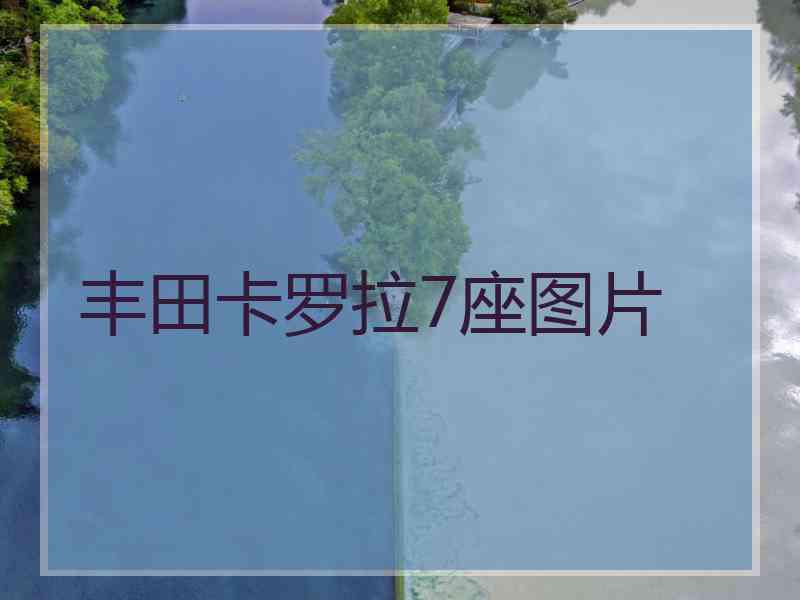 丰田卡罗拉7座图片