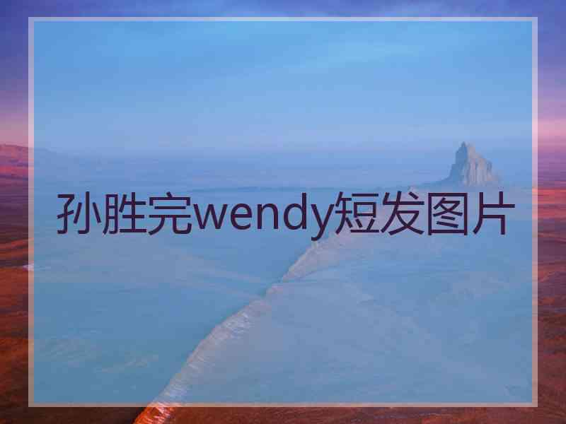 孙胜完wendy短发图片