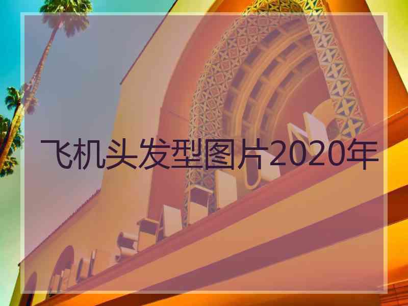 飞机头发型图片2020年