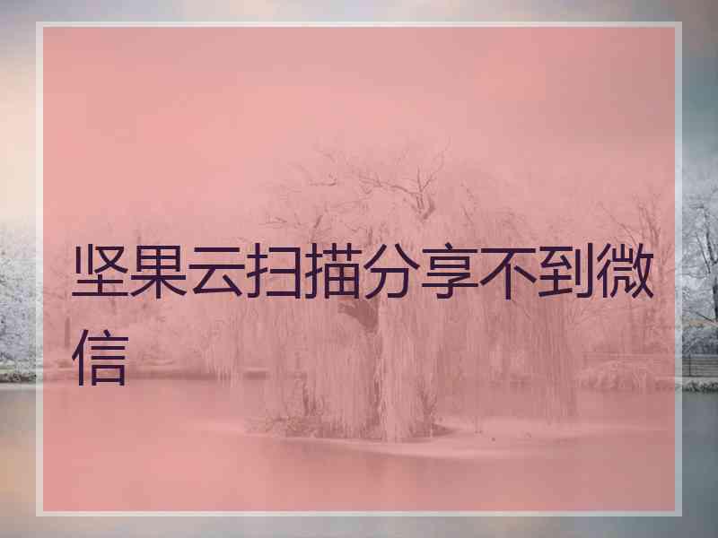 坚果云扫描分享不到微信