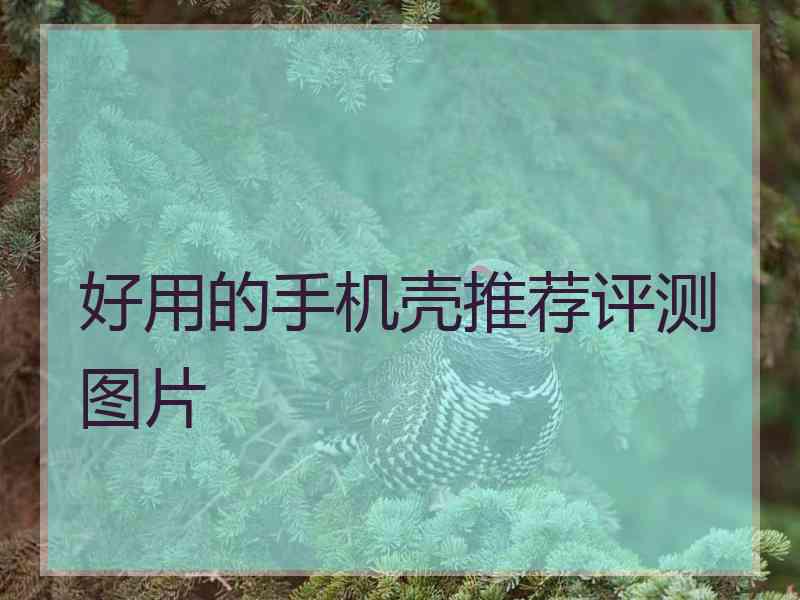 好用的手机壳推荐评测图片