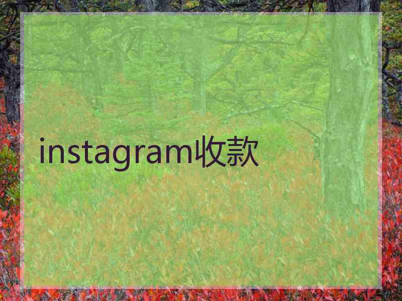 instagram收款