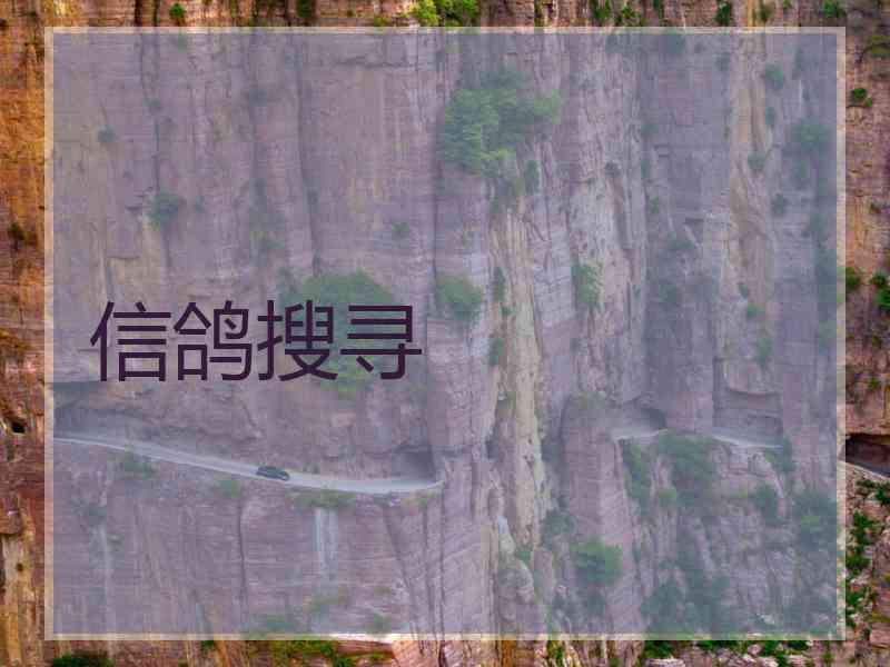 信鸽搜寻