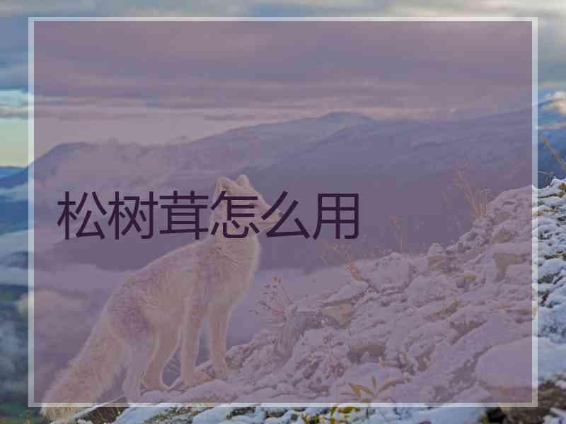 松树茸怎么用