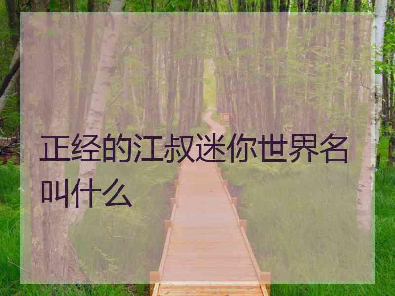 正经的江叔迷你世界名叫什么
