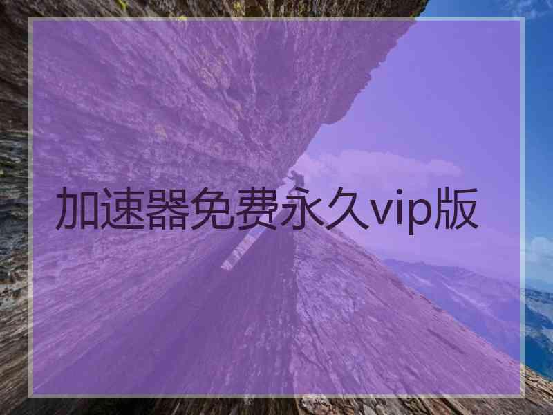 加速器免费永久vip版