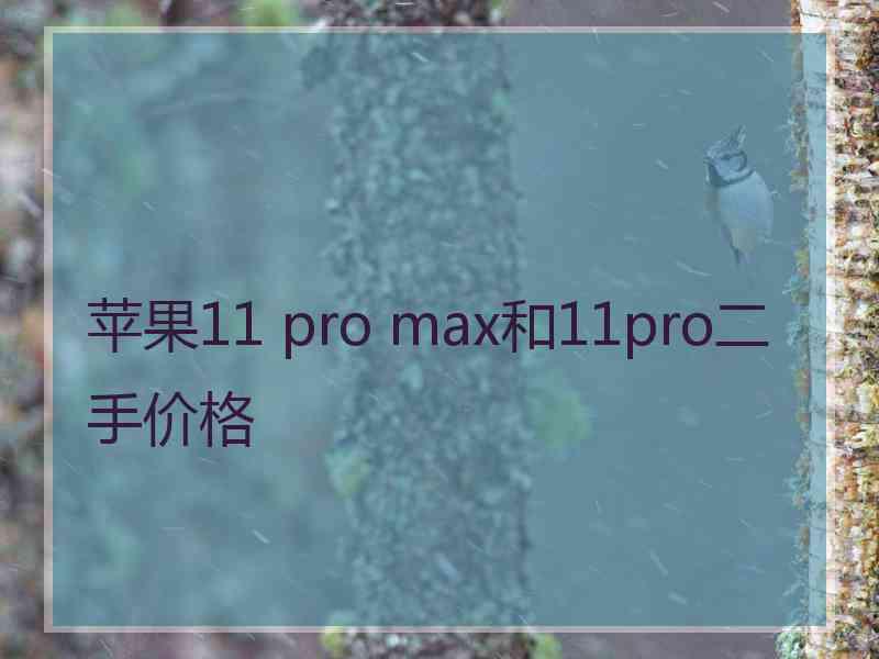 苹果11 pro max和11pro二手价格