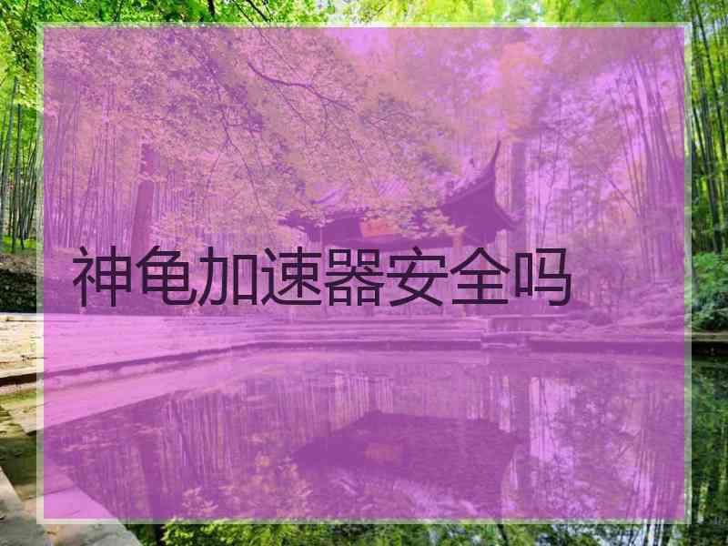 神龟加速器安全吗