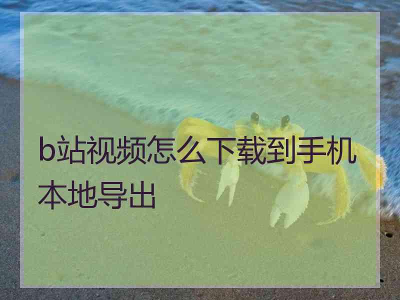b站视频怎么下载到手机本地导出