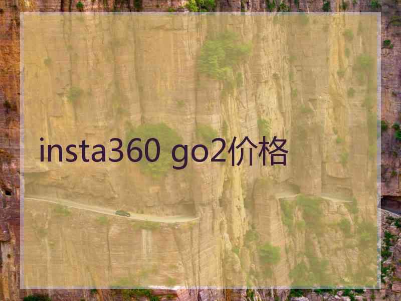 insta360 go2价格